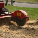 CN'R Lawn N' Landscape - Stump Grinding and Removal