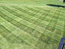 CN'R Lawn N' Landscape - Weekly Lawn Mowing
