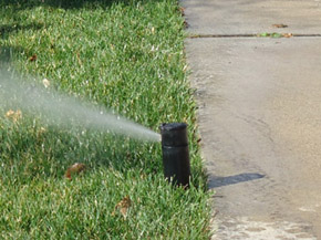 CN'R Lawn N' Landscape - Sprinkler Head