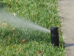 CN'R Lawn N' Landscape - Sprinkler Head