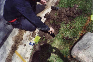 Professional Lawn Irrigation Sprinkler System Maintenance