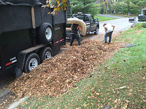  CN'R Lawn N' Landscape Professional Fall cleanup Leaf removals leaves Minnetonka, Eden Prairie, Edina, Deephaven, Chanhassen
