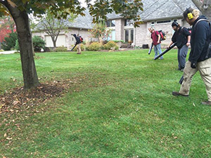 CN'R Lawn N' Landscape Professional Fall cleanup Leaf removals leaves Minnetonka, Eden Prairie, Edina, Deephaven, Chanhassen