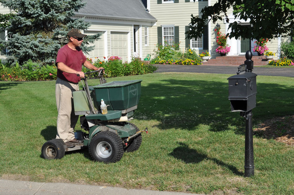 lawn care