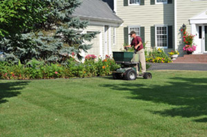  Professional Lawn Fertilizer and Weed Control