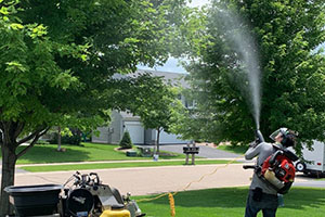  Professional Lawn Fertilizer and Weed Control - Mosquito Control