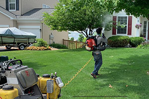  Professional Lawn Fertilizer and Weed Control - Mosquito Control