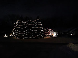 CN'R Lawn N' Landscape - Holiday Lights