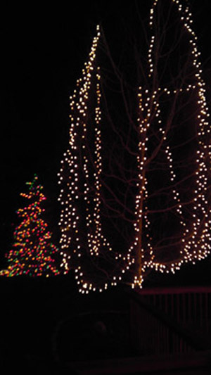 CN'R Lawn N' Landscape - Holiday Lights