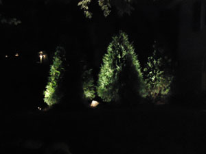CN'R Lawn N' Landscape - Landscape Lighting - Lights