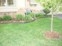Forest Brown Mulch - Before