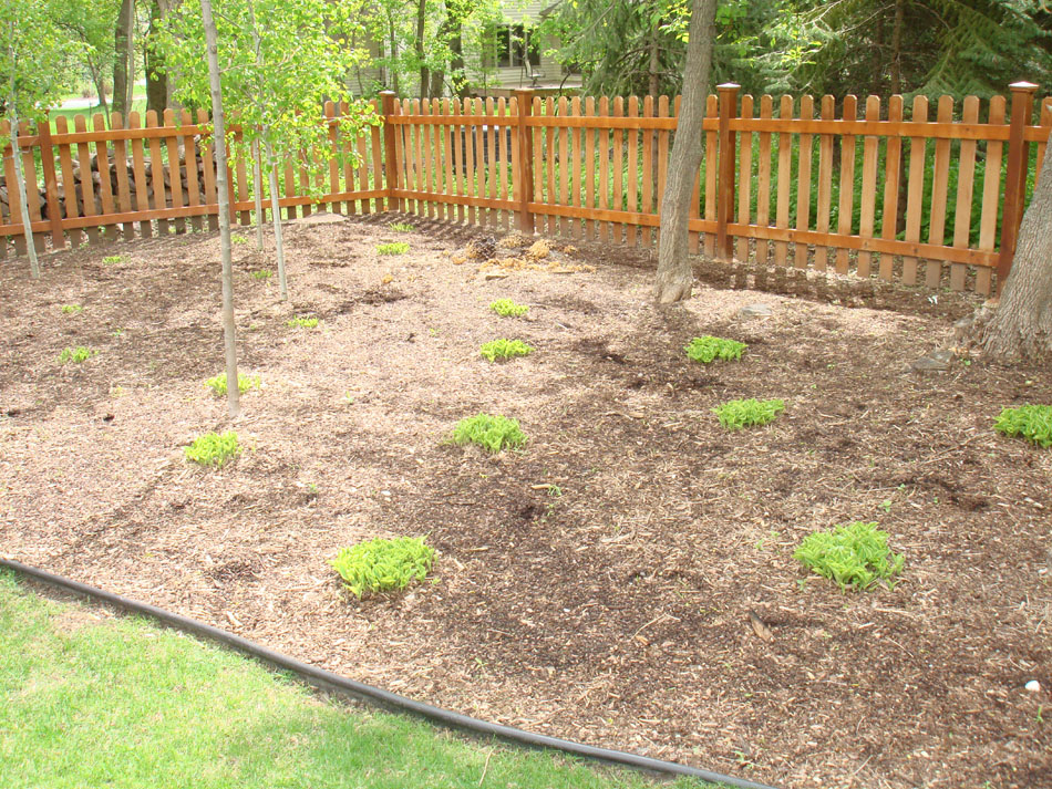 Forest Brown Mulch -  Before