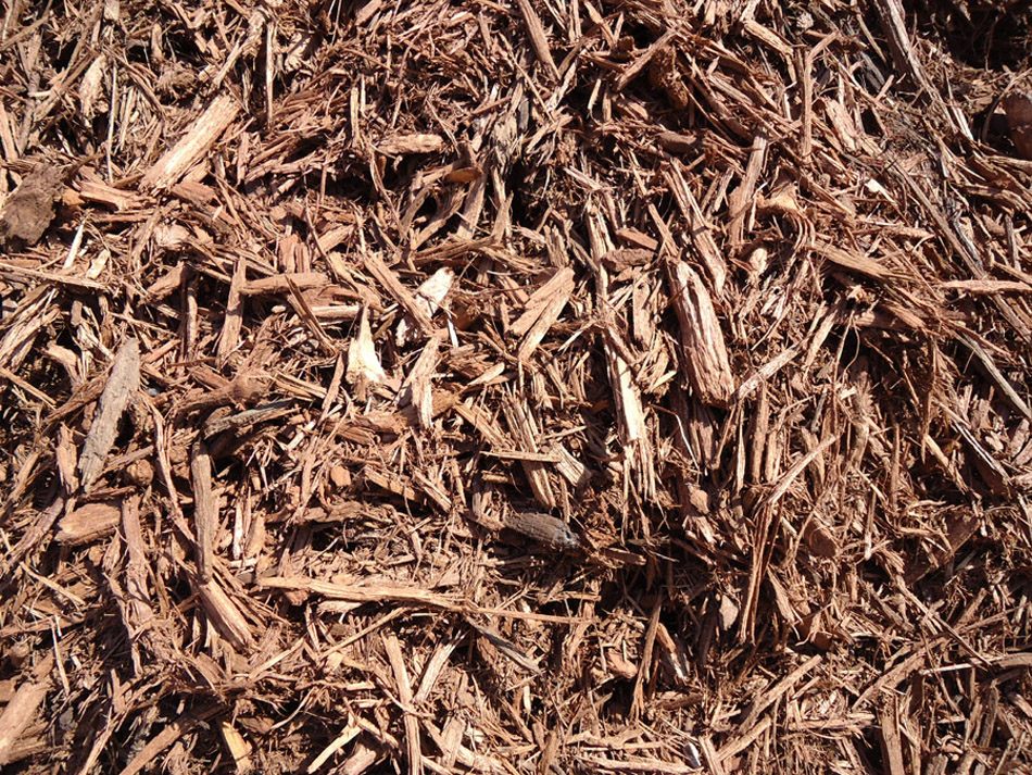 Forest Brown Mulch