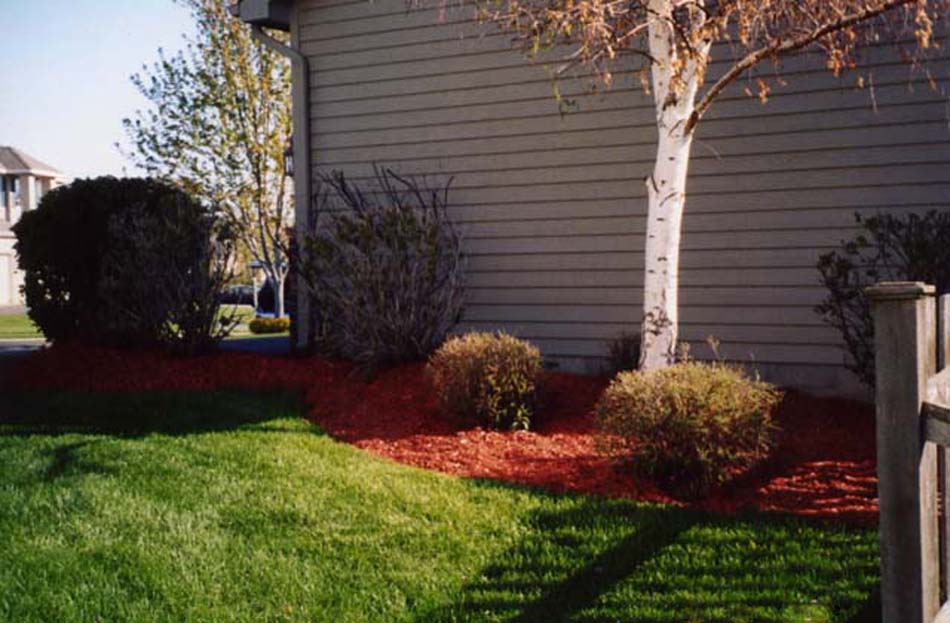 Ruby Red Dyed Mulch