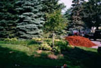 Western Red Cedar - Natural Mulch