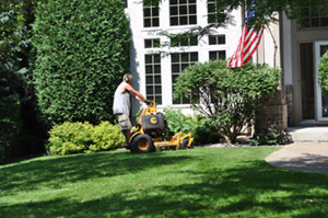  Professional Lawn Mowing Service