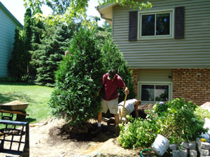 CN'R Lawn N' Landscape - Shrub N' Tree Planting Service