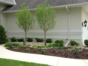 CN'R Lawn N' Landscape - Shrub N' Tree N' Perennial  Planting Service