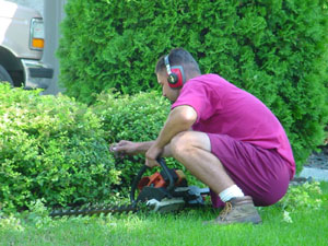 CN'R Lawn N' Landscape - Shrub N' Tree Pruning Service