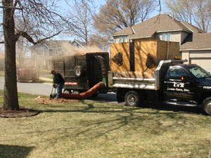  Professional Spring Lawn Dethatching and cleanup