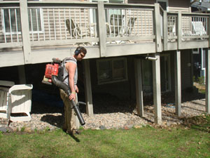  Professional Spring Lawn Dethatching and cleanup