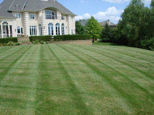 CN'R 2010 Lawn Mowing Stripes