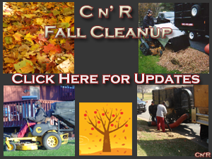 Fall Leaves Lawn Cleanup CNR Eden Prairie, Minnetonka