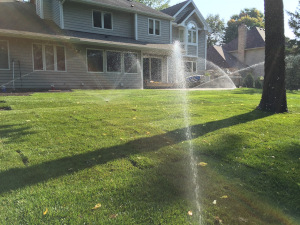 CNR Irrigation - Sprinklers start up