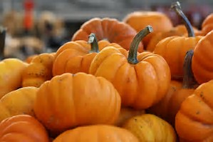 Pumpkins Autumn Fall Cleanup