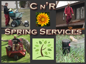 Spring Services