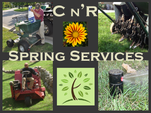 Spring Lawn Services