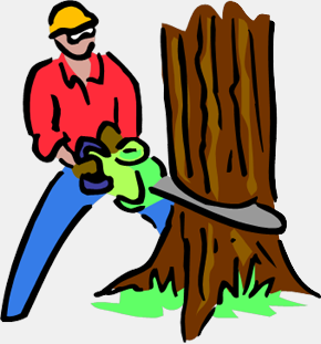 CN'R Lawn N' Landscape - Shrub N' Tree Removal Service